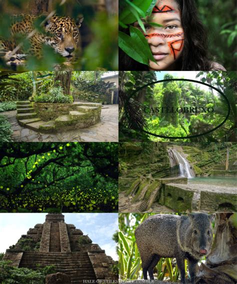 wizarding school in amazon rainforest